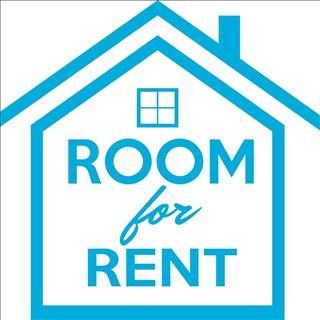 Nhà ở Seddon dư 1 phòng và 1 bungalow cho thuê
